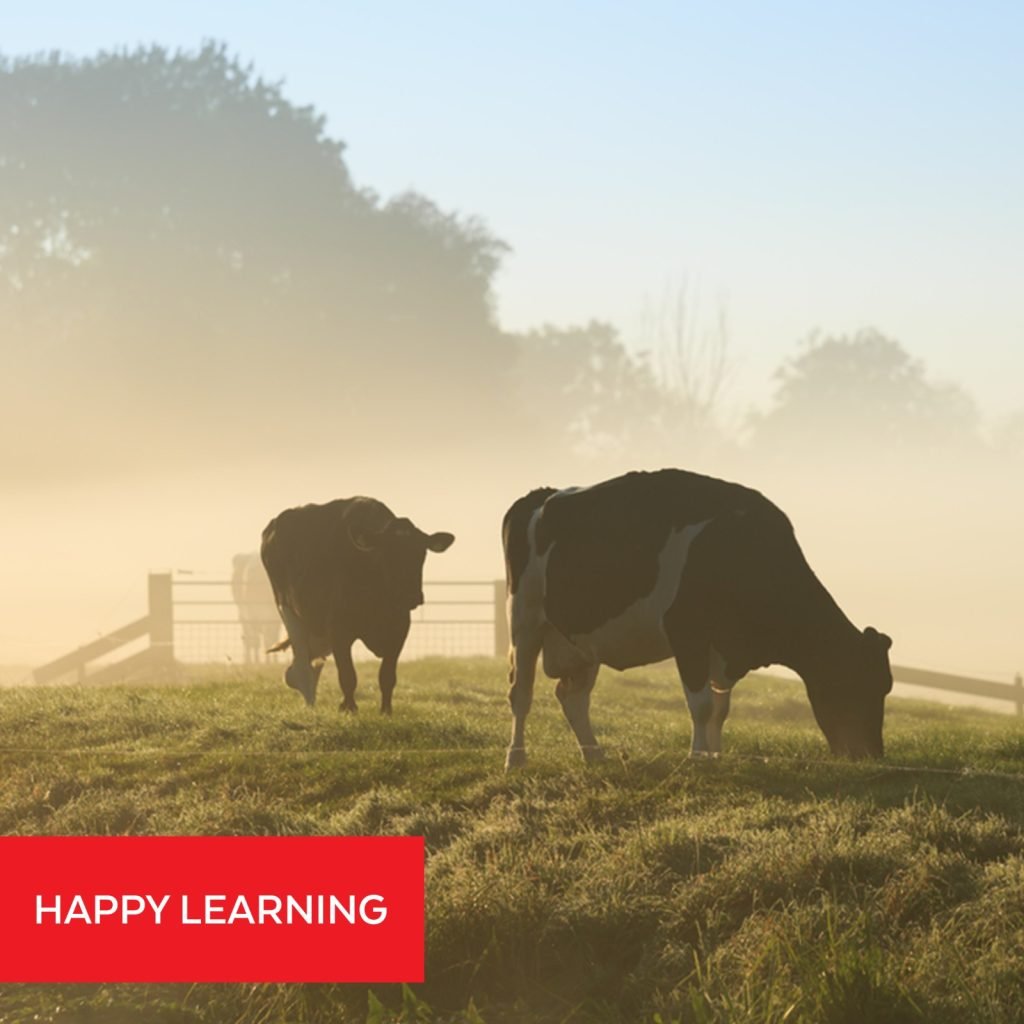 cold stress in dairy cattle