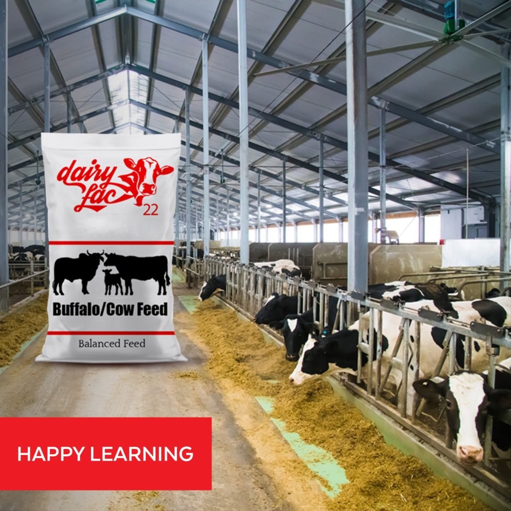 dairylac 22 number feed